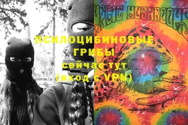 стаф Губаха