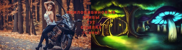 скорость Весьегонск