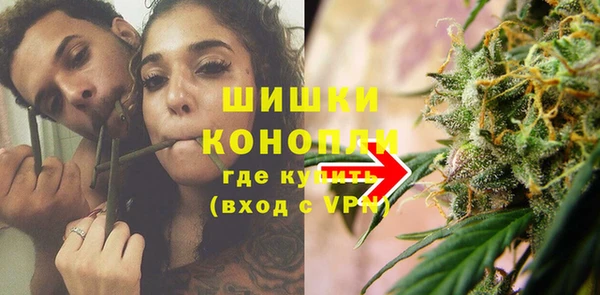 СК Ветлуга