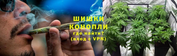 шишки Грязи
