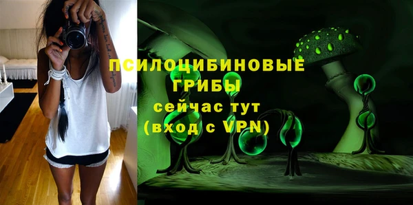 шишки Грязи