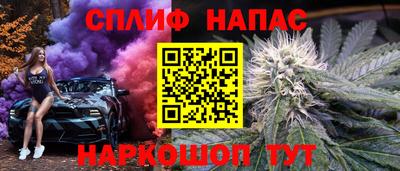 шишки Бийск