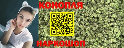 шишки Бийск