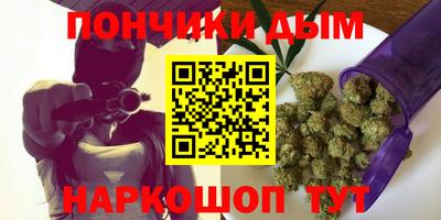 шишки Бийск
