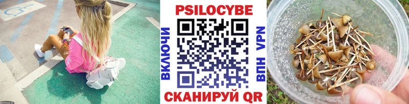 Галлюциногенные грибы мухоморы  Карачаевск 