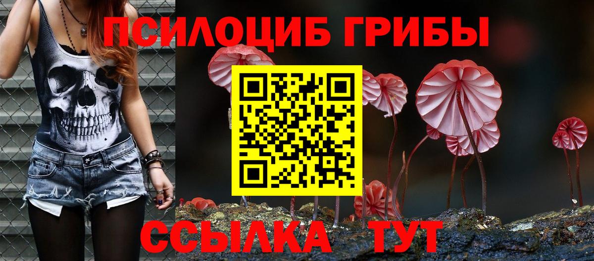 Карачаевск  Галлюциногенные грибы Magic Shrooms  Вход с VPN 