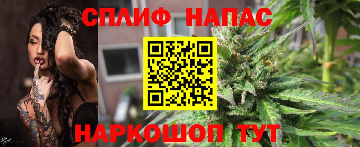 Каннабис Bruce Banner Карачаевск